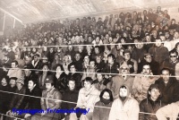 1977 Tribune d'hiver